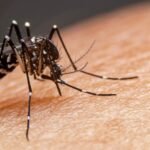 Pesquisadores brasileiros desenvolvem ferramenta de IA para detecção de insuficiência respiratória através da análise de áudios e fala