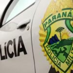 Pesquisadores paranaenses descobrem besouro que salta 30 vezes o próprio tamanho