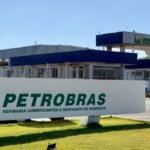 Proteína na medida certa: saiba quanto consumir por dia e quais são as melhores fontes
