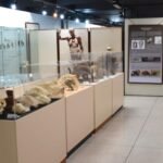 Clevelândia promove Aulão de Dança em homenagem ao Outubro Rosa