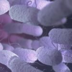 Emplacamentos crescem 34% após redução do IPVA no Paraná