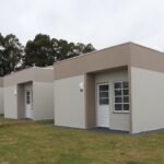 O que realmente acontece com seu corpo ao seguir a dieta carnívora?