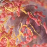 Giovana Madalosso é a nova imortal da Academia Paranaense de Letras