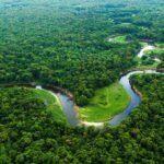 Grande Prêmio do Brasil de Fórmula 1 acontece neste fim de semana em Interlagos
