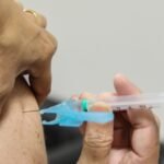 Rayssa Leal conquista o quinto título no STU Pro Tour do Rio