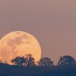 Implante revolucionário na retina devolve a leitura a idosos com degeneração macular