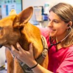 Titãs anunciam turnê de 40 anos de Cabeça Dinossauro