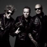 Curitiba terá novo hospital veterinário público em 2026