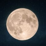 Show de despedida da Xuxa ganha data em SP