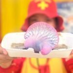 Estudo aponta mudanças no clima europeu nas próximas décadas