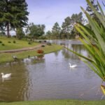 Prazo para regularizar título de eleitor vai até maio de 2026