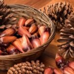 Janeiro reforça campanhas de cuidado com a saúde física e mental