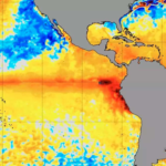Curitiba oferece exames de visão e óculos gratuitos a alunos