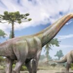 Escolas do Paraná recebem material de educação para o trânsito