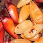 Estádios de Curitiba recebem tecnologia de impedimento automático