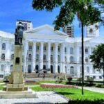 Estudo aponta fruta como aliada da saúde do coração