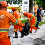 Castração gratuita abre 558 vagas para cães e gatos em Pato Branco