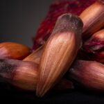 Capacetes terão selo digital obrigatório com QR Code a partir de julho