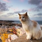 Mapa do Rock in Rio 2026 revela mudanças e novas atrações