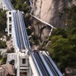 Castração gratuita para cães e gatos chega a 47 cidades do Paraná