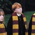 Hot Wheels Monster Trucks Live chega ao Brasil com turnê inédita