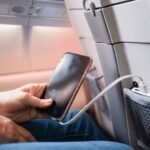 Cadastro nacional de pets supera 1,3 milhão de registros em um ano