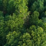 Londrina oferta 280 vagas de trabalho em diferentes áreas