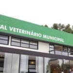 Festa Junina Árabe chega à 22ª edição com entrada gratuita em Curitiba