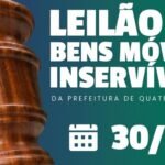 Campanha incentiva doação de sangue de cães e gatos