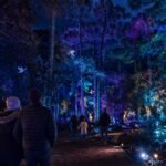 Festival da cultura japonesa movimenta Curitiba neste fim de semana