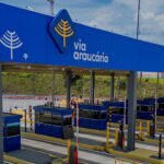 Estudo aponta quantidade de ovos que pode fazer parte de uma dieta saudável