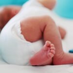 Pinhais realiza entrega de mudas para famílias cadastradas em programa
