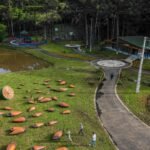 Curitiba recebe abertura do Circuito Banco do Brasil de Skate em setembro